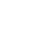 2008icon
